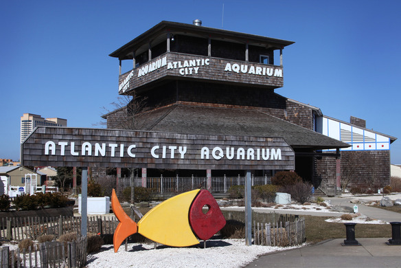 Atlantic City Beyond the Boardwalk: Discover Historic Gardner’s Basin